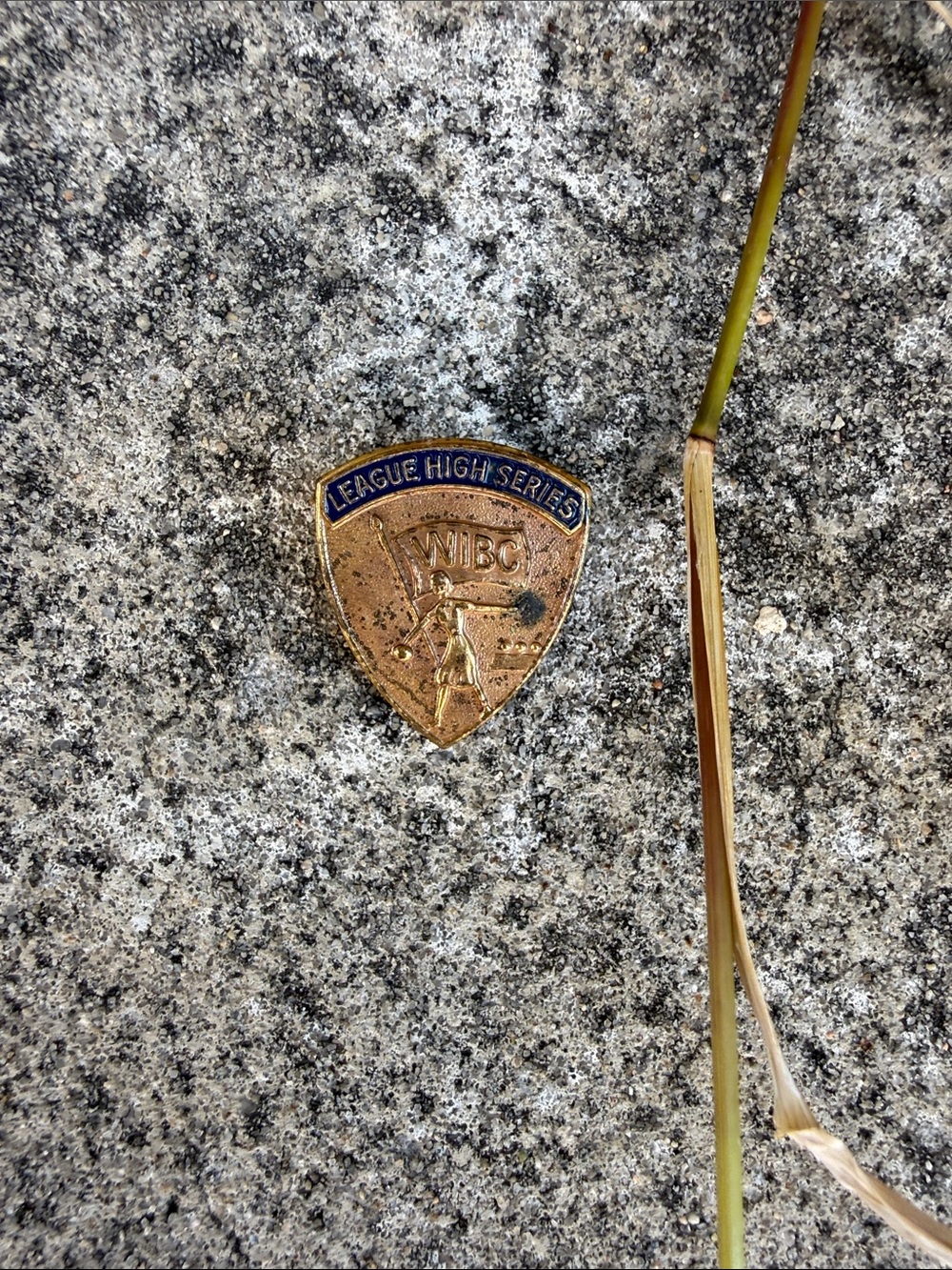 LEAGUE HIGH SERIES WBBC Vintage Brass Pin - Blue & Gold